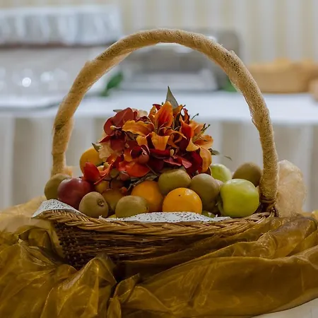 Hotel Studio فندق